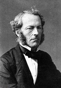 stokes stokes